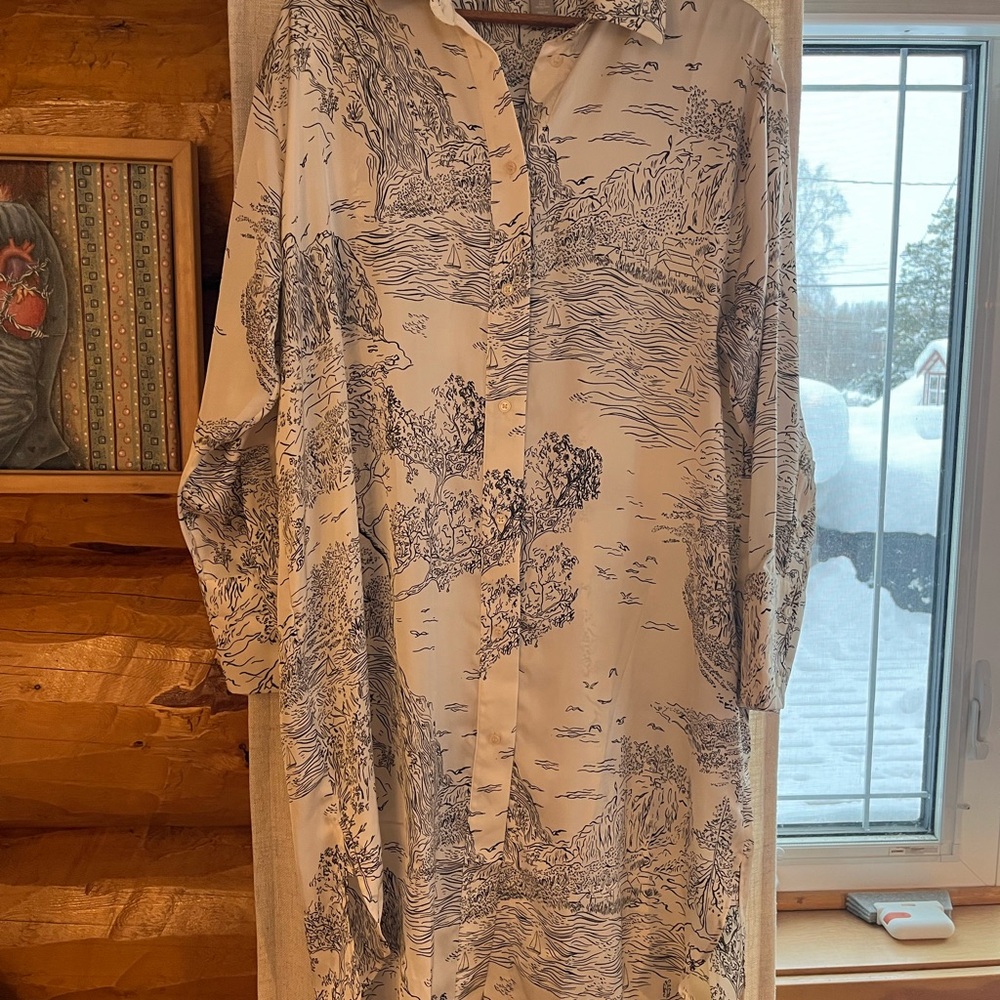 H&M Cream and Blue (a flowy and light silky satin feel) Scenic Button Down Shirt